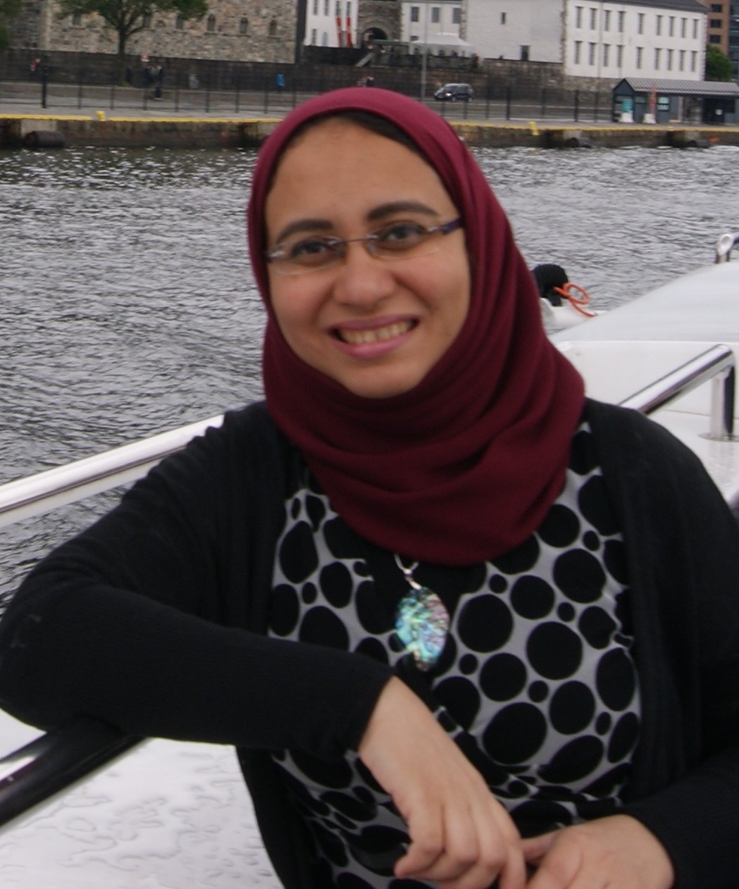 Prof. Dr. rer. nat. Reham Helwa